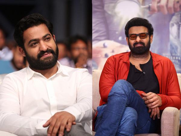 What Is The Telugu Surprise In KGF 2?