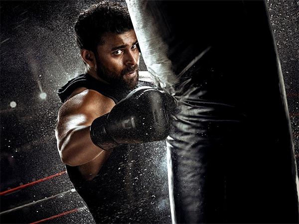 is ghani won at box office