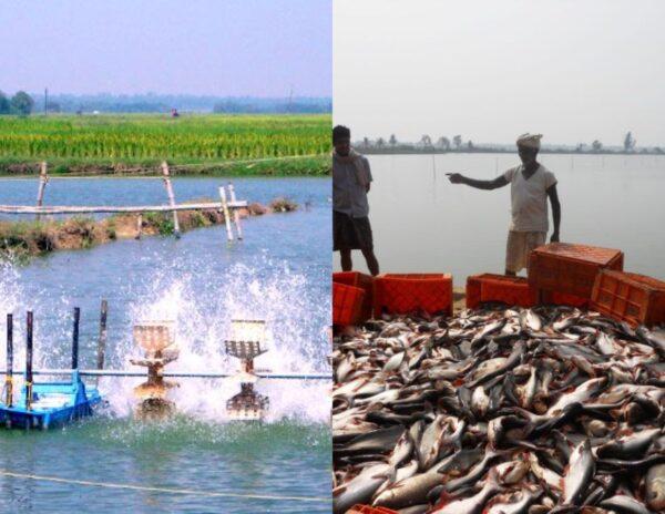 Aqua_Holidays_in_Andhra_Pradesh