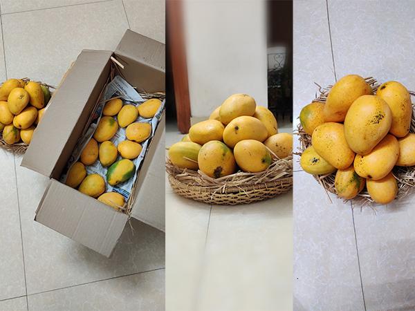 Director Left Only With Pawan Kalyan's Mangoes!