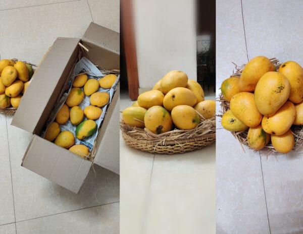 Director Left Only With Pawan Kalyan's Mangoes!