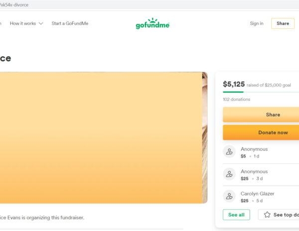 Gofundme_Divorce