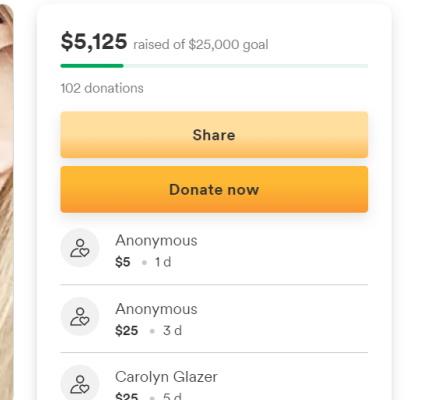 Gofundme_Divorce_USA