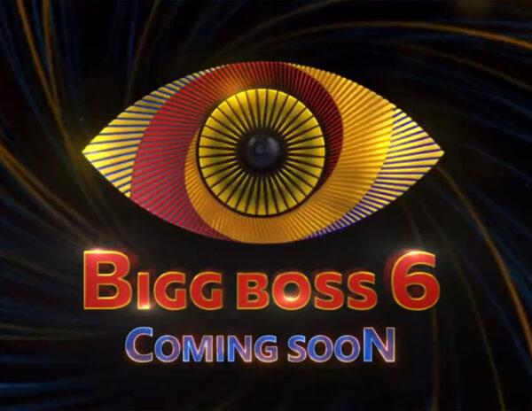 Exclusive: Six Confirmed Contestants Of Bigg Boss Season 6