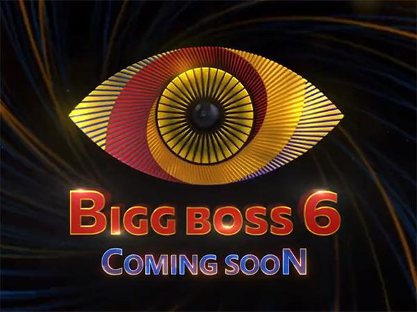 Exclusive: Six Confirmed Contestants Of Bigg Boss Season 6