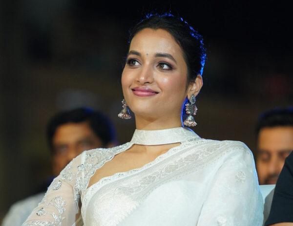  Telugu Heroes Missing the Star Beauty?