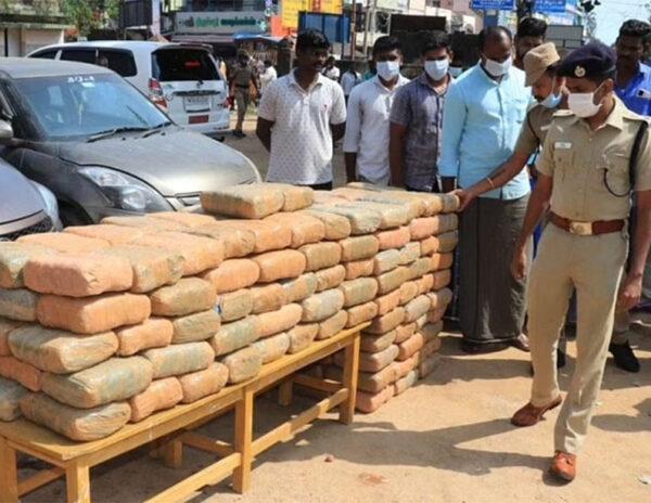 Most Cannabis Caught In India: AP On Top