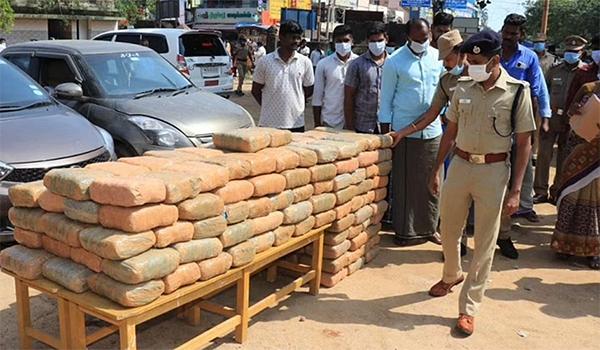 Most Cannabis Caught In India: AP On Top