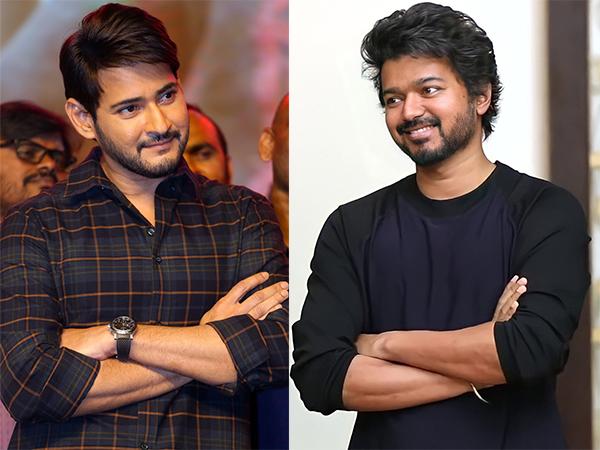 Mahesh Fans Vs. Sambar Fans Gets Uglier