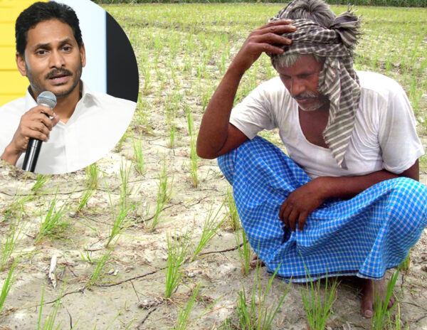 2.45 Lakh Debt AP