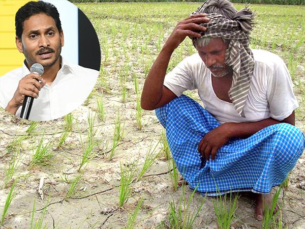 2.45 Lakh Debt AP