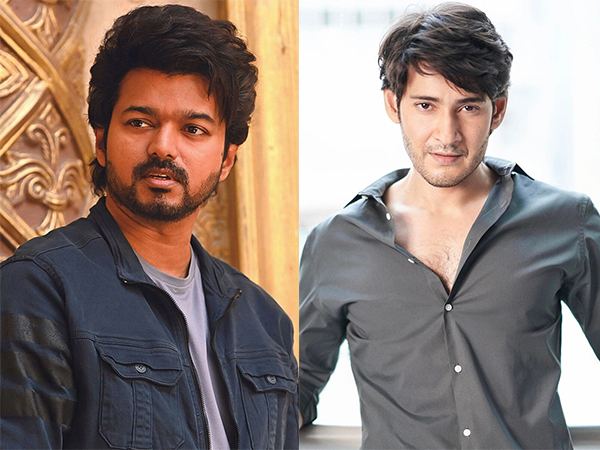 Fans Dil Khush With Mahesh's Rejection