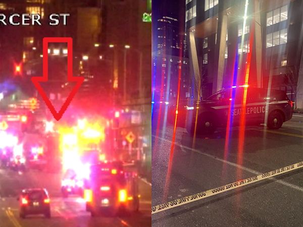 Telugu Woman Struck By Seattle Police Car Dies