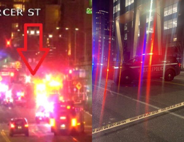 Indian_Woman_Seattle_Police_Car_Dies