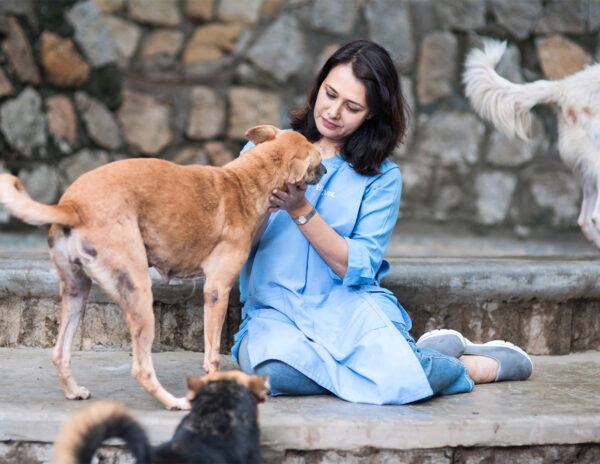 Amala_Akkineni_Dogs