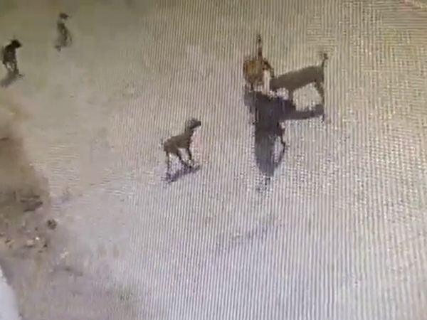 Dogs_Kill_4Yr_Kid_Hyderabad