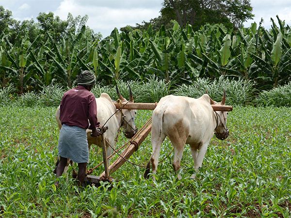 Farmers-Andhra-Pradesh
