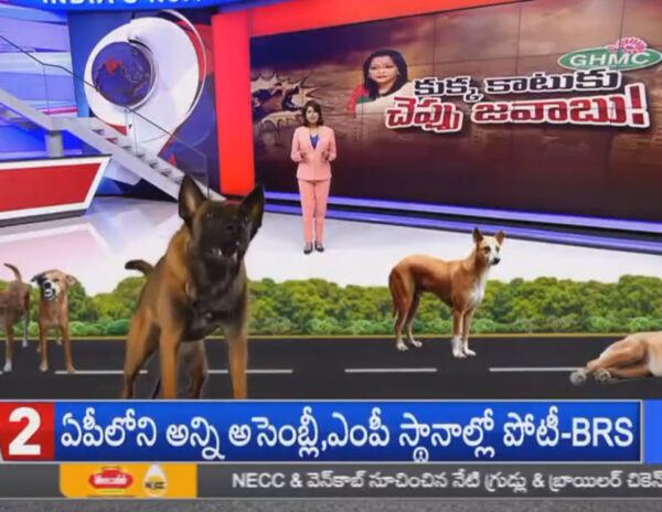 TV9 Turned Serious Issue Into Circus