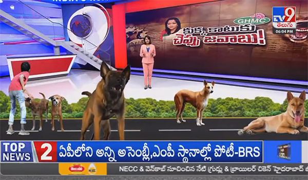 TV9 Turned Serious Issue Into Circus