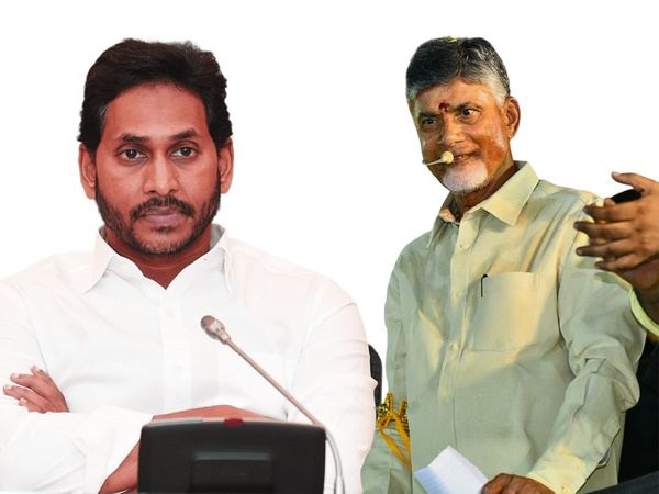TDP_MLC Elections