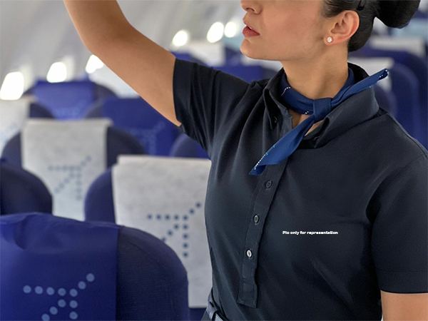 Indigo_Air_Hostess_Molestation