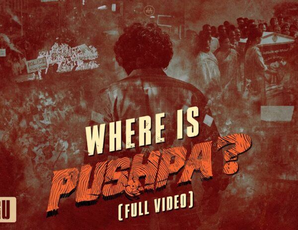 Pushpa 2 Glimpse: Bigger And Wilder