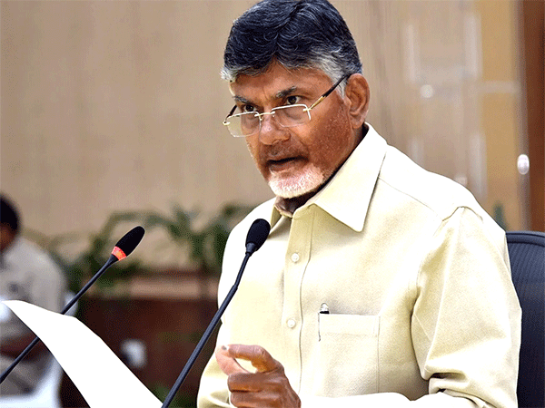 TDP Finalized Around 94 Candidates Already!