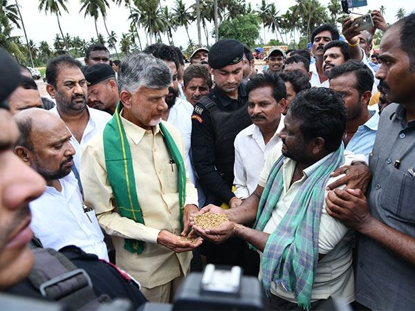 Chandrababu-Naidu-Farmers Crops Damaged Due Rrains