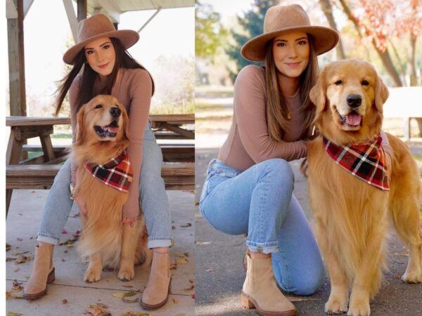 Golden Retriever Sensation Rakes in a Staggering 8 Crore Rupees Yearly