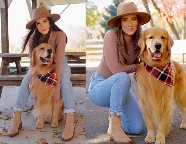 Golden Retriever Sensation Rakes in a Staggering 8 Crore Rupees Yearly