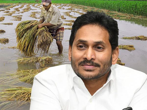 YS Jagan Andhra Pradesh Crops Loss Damaged Roads
