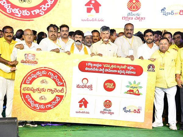 TDP-Manifesto