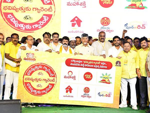 TDP Manifesto