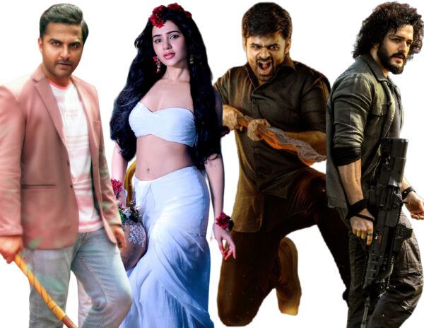 Tollywood Grossly Misusing Pan India Tag
