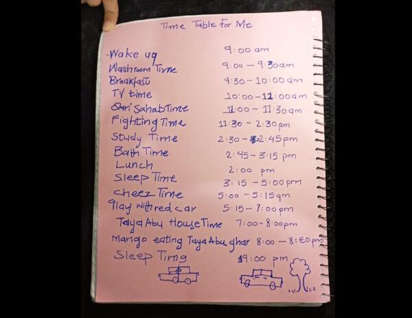 Hilarious 6 Year Old Timetable