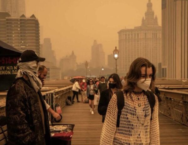 New York Looks Like a Mexican Cartel Movie