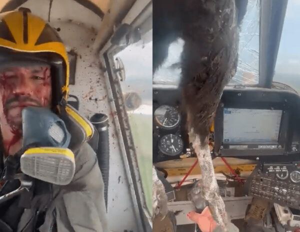 Pilot Drenched in Blood