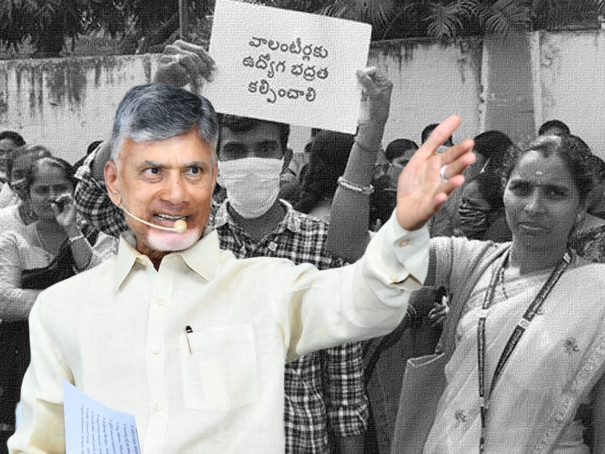 Chandrababu Naidu Volunteers-Andhra-Pradesh-