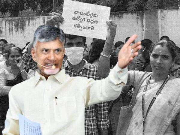 Chandrababu Naidu Volunteers-Andhra-Pradesh-