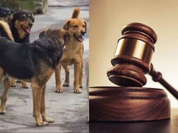 Dogs-Paid-Alimony