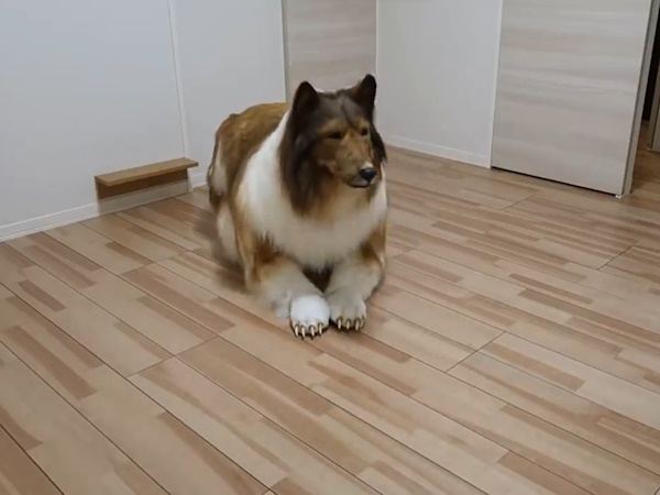 Man-Becomes-Dog