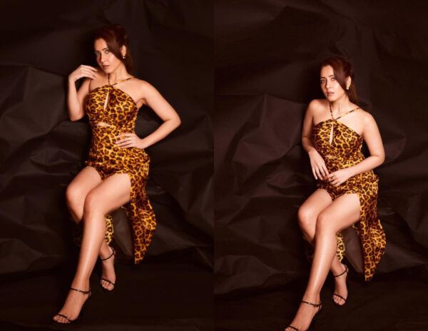 Rashii Khanna's Curvy Pose Wooes