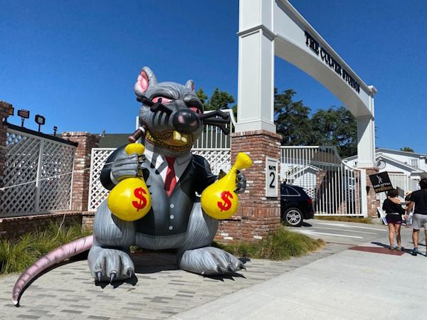 Rat-Outside-Amazon-Office