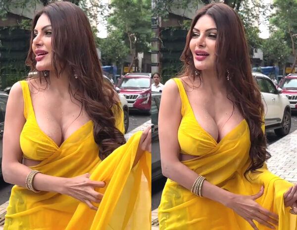 Sherlyn Chopra Hot
