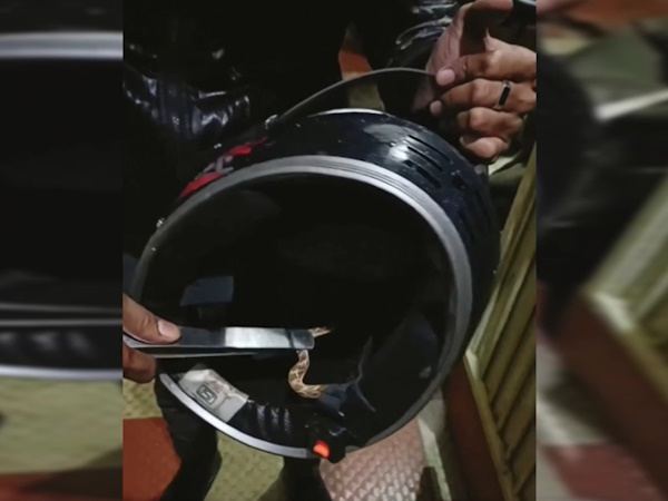 Snake-Creeps-Man-Helmet