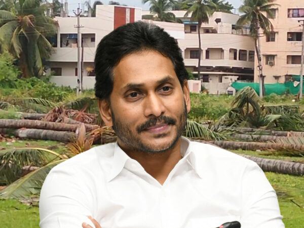 Trees Cut Down For CM Jagan Tour