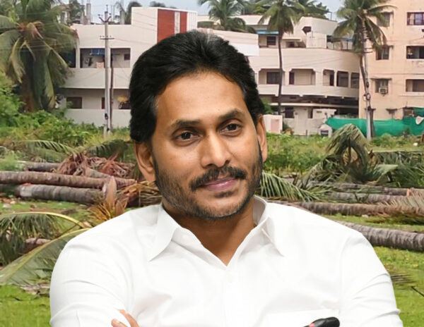Trees Cut Down For CM Jagan Tour 