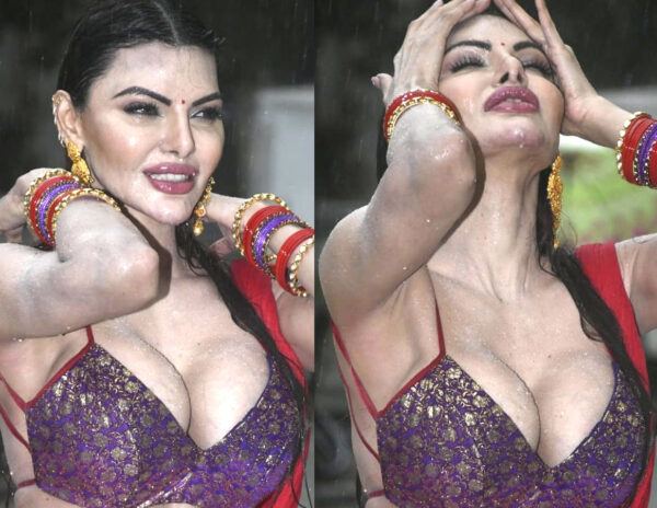 Wet Sherlyn Chopra 