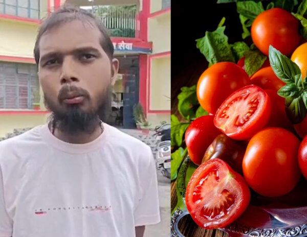 Wife Leaves Husband Tomatoes