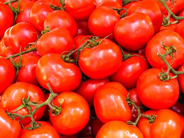 AP Farmer Makes Rs 15 Lakh on Tomatoes